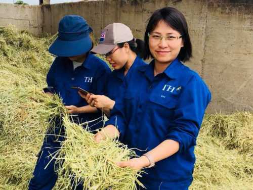 Cô đầu bếp nấu món ăn 5 sao cho 45.000 con bò